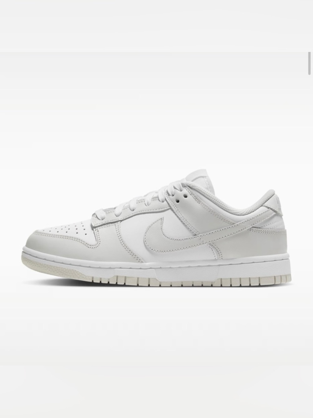 Nike Dunk Low